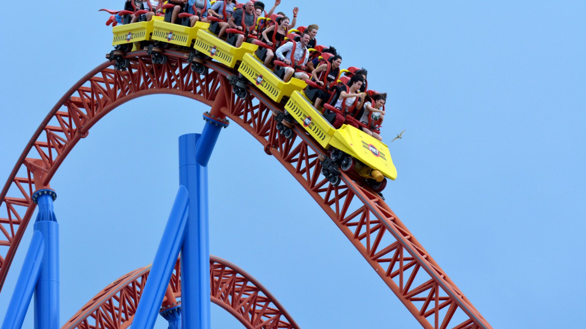 shutterstock_234082756